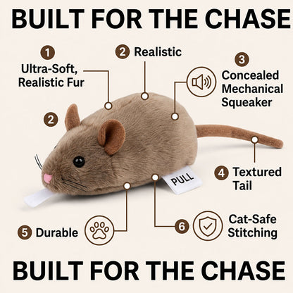 🎁LAST DAY SALE ! 50% OFF—Say Goodbye to Boredom: The Wind-Up Mouse That Drives Cats Wild! 🐭💥