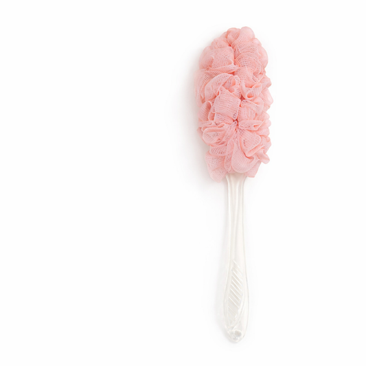 Long Handle Bath Brush